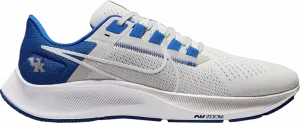 Кроссовки Nike Air Zoom Pegasus 38 'Kentucky', серый