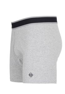Боксеры HONESTY RULES Untehose Comfort Trunk, серый