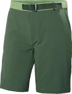 Мужские шорты Helly-Hansen Tofino Solen 9.5" Helly Hansen, 476 Spruce