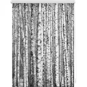 Жалюзи Seitenzugrollo Klemmfix Motiv Birken Защита от света без сверления, свободно подвешенная, с рисунком Lichtblick Original, черно-белый/белый