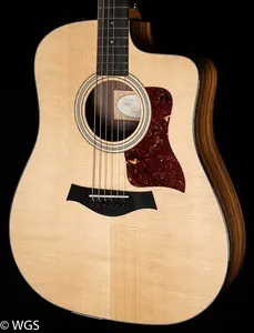 Taylor 210ce Plus (442)