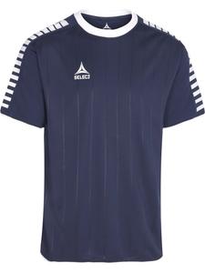 Футболка Аргентина синего цвета Select