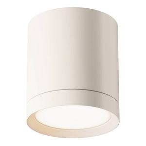 Потолочный светильник Maytoni Decorative Lighting Hoop Typ B, алюминий - 1 фонарь - белый