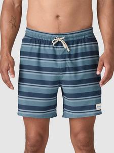 Шорты Patagonia Hydropeak Volley - 16 In. Shorts, twinnie stripe/still blue