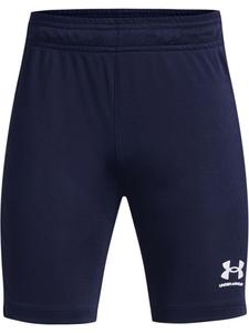 Шорты Under Armour, синий