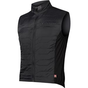 Жилет Pro SL PrimaLoft II - мужской Endura Endura, Black