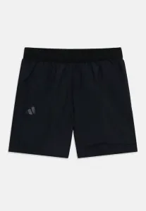 Спортивные шорты Adidas Terrex, Black