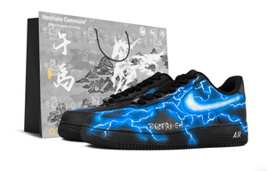 Nike Кроссовки для скейтбординга Air Force 1 Abrasion Resistant Low top мужские, черные и синие