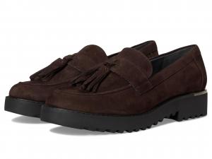 Лоферы Franco Sarto Carolynn, цвет Hickory Dark Brown