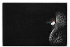 Картина на холсте A.S. Création Crowned Crane цвет schwarzweissrot