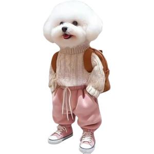 Акриловый плюшевый брелок с собачкой 7 см WADORN