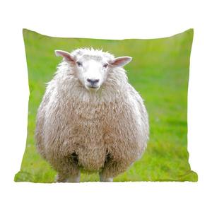 Декоративная подушка MuchoWow, диванная подушка, декоративная подушка для гостиной, 60 х 60 см, овца, трава, сельскохозяйственные животные, чехол на подушку, хлопчатобумажная ткань, декоративные наволочки