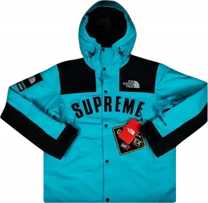 Парка Supreme x The North Face Arc Logo Mountain Parka 'Teal', бирюзовый