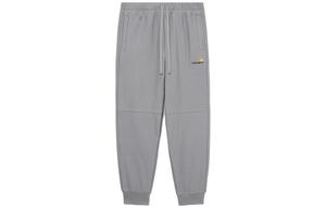 Повседневные брюки мужские Carhartt WIP, серый