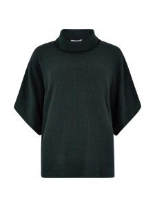 Apricot Кейп в цвете Fir