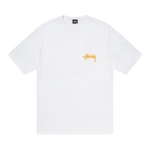 Футболка Stussy Coastline Tee 'White', белый