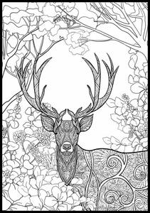 Раскраска, постер, картина, графика олень в лесу, формат 50х70 см. Inna marka