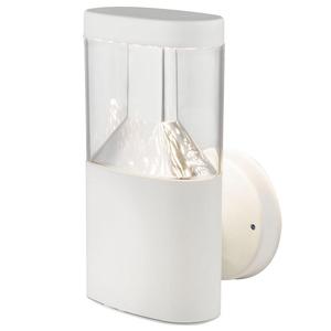 Globo Lighting Уличный светодиодный настенный светильник из нержавеющей стали, белый