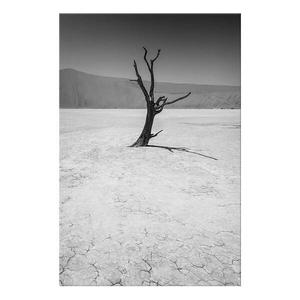 Фреска Artgeist Tree in the Desert, черно-белый