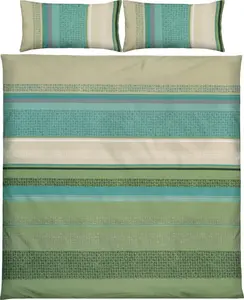 Постельное белье зеленое 1x 200x200 см + 2x 40x80 см Erwin Müller