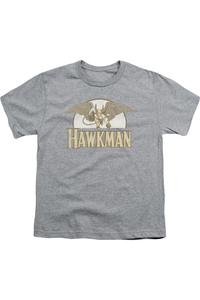 Футболка с коротким рукавом DC Comics Fly By для детей Gildan, Athletic Heather