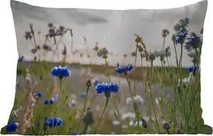 Подушка для улицы - Цветы - Лето - Василек - Синий - Солнце - Облака - 50x30 см - Устойчива к погодным условиям - Подушка для отдыха - Подушка для дивана - Украшение для гостиной MuchoWow