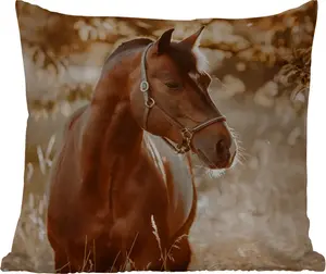 Подушка для улицы Лошадь, Солнце, Портрет, Природа, коричневая, 60 x 60 см, водонепроницаемая, подушка для отдыха, декоративная, для сна MuchoWow