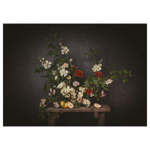 Картина Ikea Pjatteryd Flowers-against A Black Wall, 70х50 см