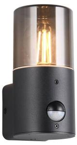 Наружный настенный светильник MeineWunschleuchte Serve цвет schwarz/rauchfarbig