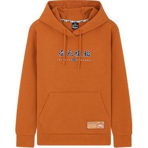 361° Свитшот мужской Zhu Dan с капюшоном Moderate Regular