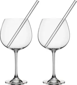 Набор из 2 стаканов для джина Novel с трубочкой novel