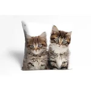 Подушка Dekokissen Patrick Чехол для подушки, кошки, животные, милый, игривый, домашние животные, декоративный Queence, Braun + bedruckt