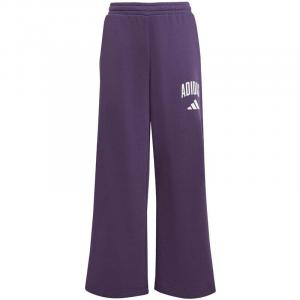 Брюки, сезонные, предметы первой необходимости, типографика для колледжа, дети Adidas, мультиколор