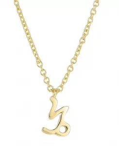 Позолоченное колье со знаком зодиака Adornia, gold-capricorn