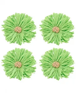 Набор из 4 колец для салфеток с подвесками из рафии Saro Lifestyle, зеленый
