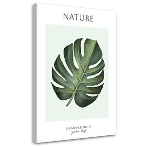 Картина арт-принт KUNSTLOFT Green Leaf #2, зеленый