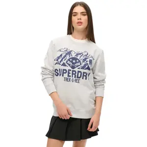Толстовка Superdry Lo-Fi Outdoors Graphic, серый