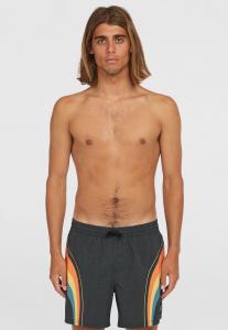 Пляжные шорты O'RIGINALS LONGBOARD 15" SWIMSHORTS O'Neill, черный