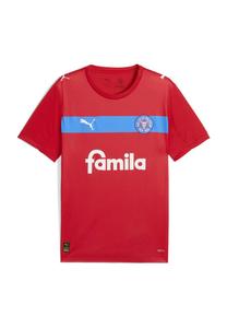 Футболка Puma Print T-shirt, Red Ignite Blue White/Red