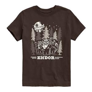 Футболка с принтом Endor National Park Forest Moon для мальчиков 8-20 Star Wars, Dark Brown