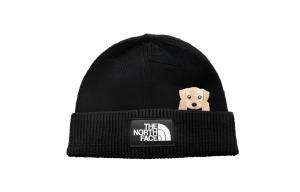 Нейлоновая шапка унисекс THE NORTH FACE