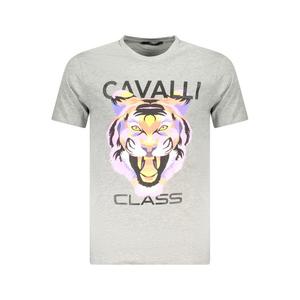 Серая хлопковая мужская футболка Cavalli Class, коричневый