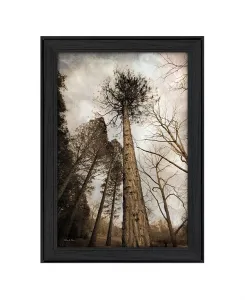 Trendy Decor 4u "Небо — предел мечтаний" от Робин-Ли Виейры, настенное искусство с печатью, готово к подвешиванию, чёрная рамка, 15 x 21 дюйм Trendy Décor 4U, multi