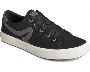 Кроссовки Sperry Sandy LTT, черный