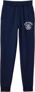 Брюки Polo Ralph Lauren Kids Logo Fleece Jogger Pants, цвет Refined Navy