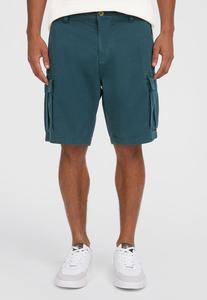 Шорты ESSENTIALS O'Neill, цвет Alma Steel