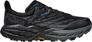 Кроссовки Speedgoat 5 GORE-TEX 'Black Blue', черный