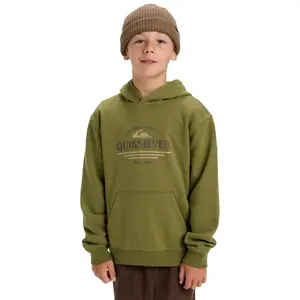 Детская толстовка с графикой Quiksilver, зеленый