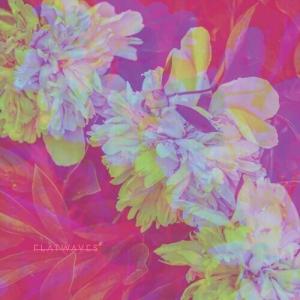 Виниловая пластинка Flatwaves: Numbra