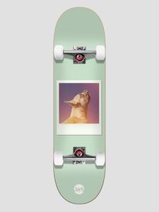 Скейтборд Jart Instant Film 8.25″X31.85″ Skateboard, uni